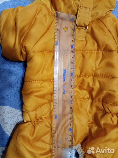 Одежда для собак