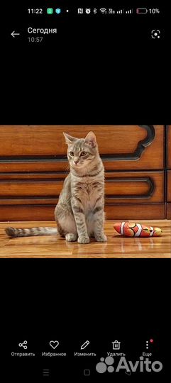 Косоглазки