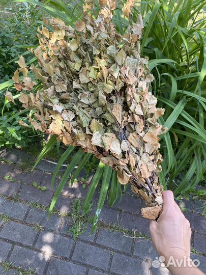 Веники березовые для бани