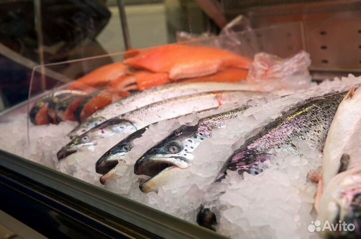 Франшиза рыбного магазина в центре города