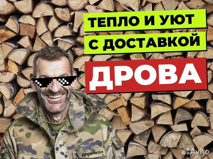 Дрова по СПБ и ло