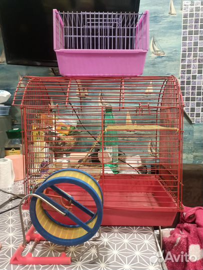 Клетка для грызунов бу