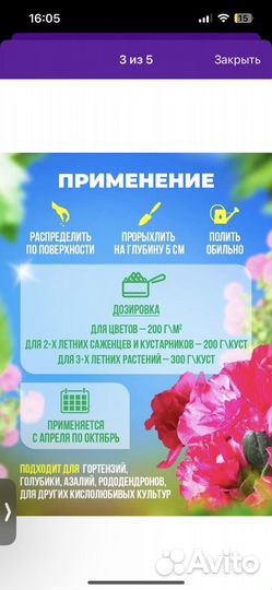 Удобрение доя гортензий, азалий