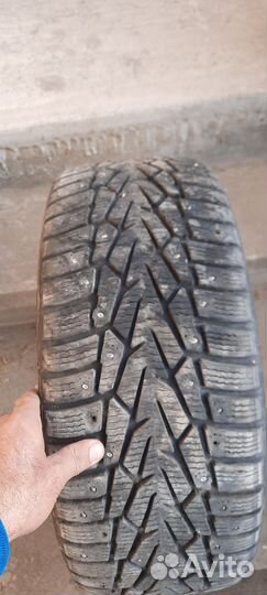 Accelera 651 Sport 17.5/50 204L
