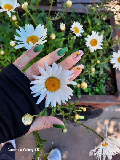 Мастер маникюра