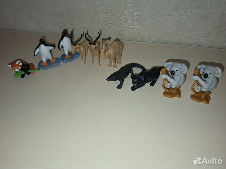 Киндер натунс 2024 обмен