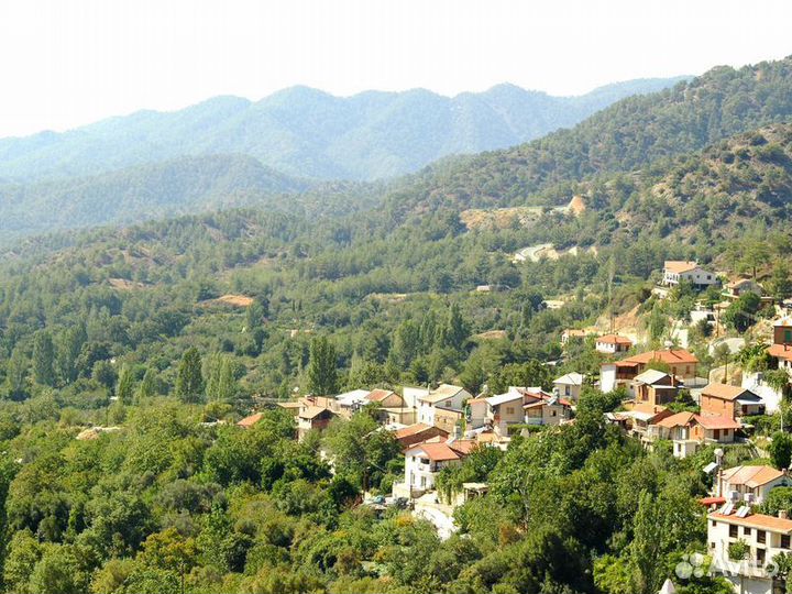 Лимассол Топ-Экскурсия Из Лимассола — в горный заповедник Троодос