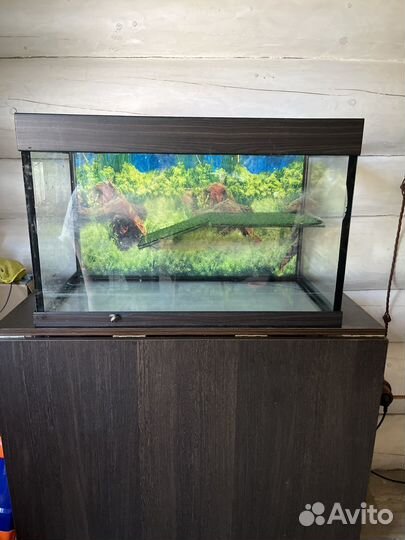 Аквариум для черепах бу 100 литров