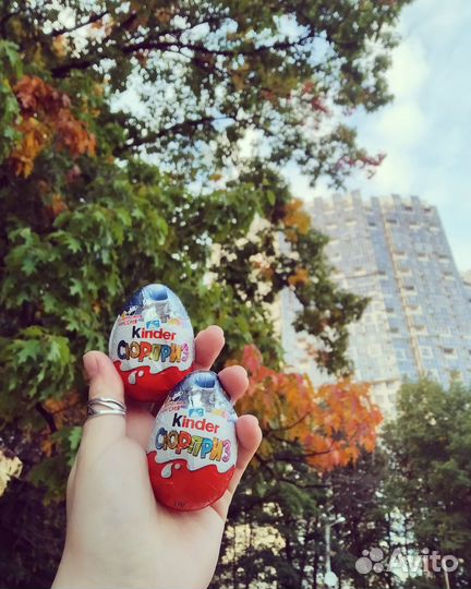 Тукан для Марии