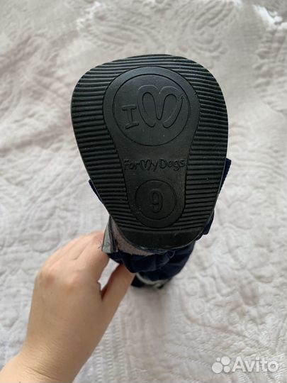 Обувь для крупных собак и средних