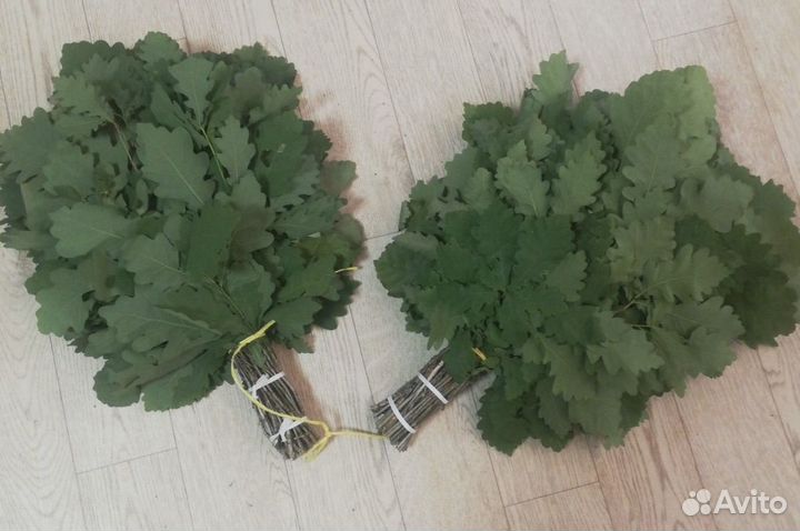 Веники для бани и сауны (березовые и дубовые )