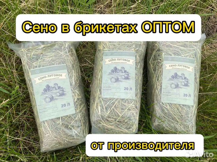 Сено в брикетах оптом