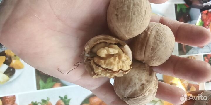 Орех