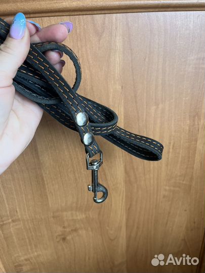 Новый ошейник +поводок (средн.породы)