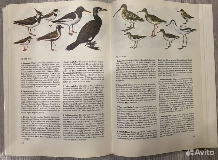 Книга на немецком языке