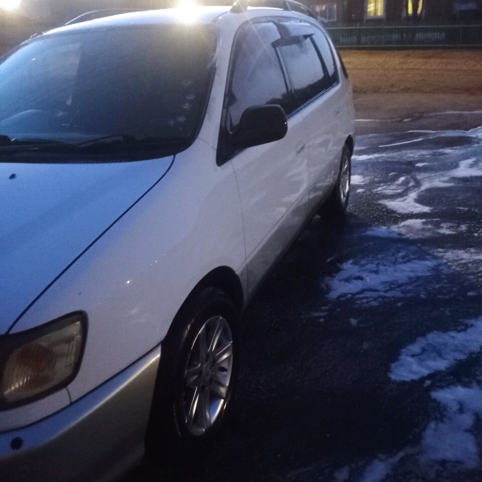 Toyota Ipsum: фото из отзыва