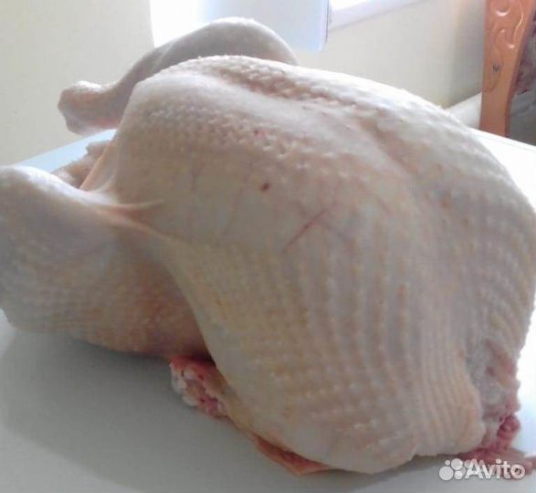 Мясо домашней птицы