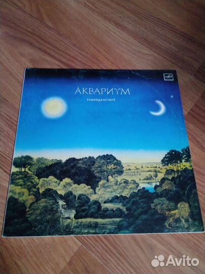 Виниловые пластинки