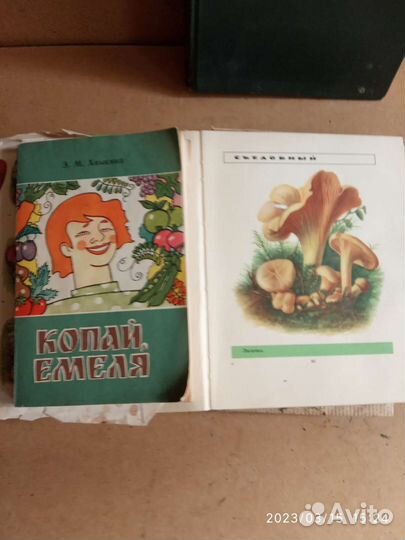 Книги о природе СССР