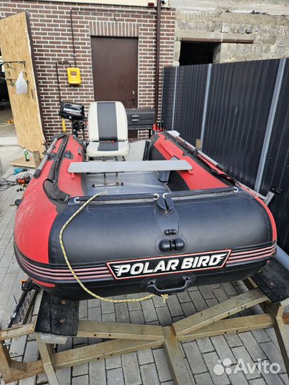 Лодка Polar bird 320