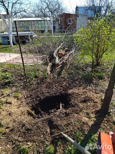 Измельчение пней