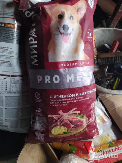 Корм для собак и кошек