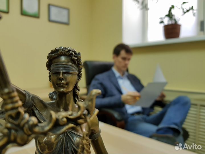 Адвокат Воронин Д.В