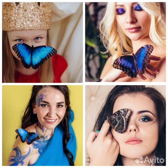 Живые бабочки