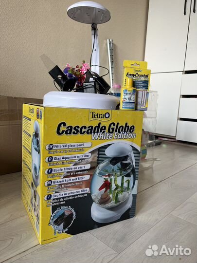 Аквариум тетра каскад белый бу