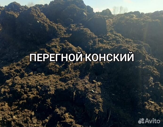 Конский перегной,навоз конский