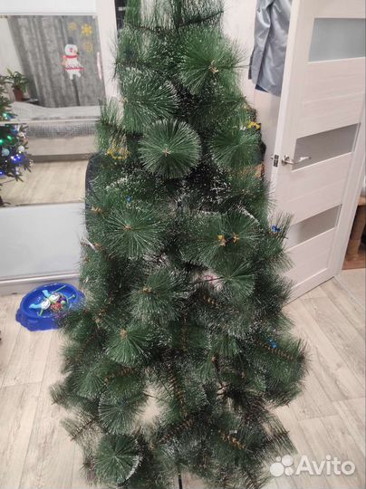 Сосна новогодняя