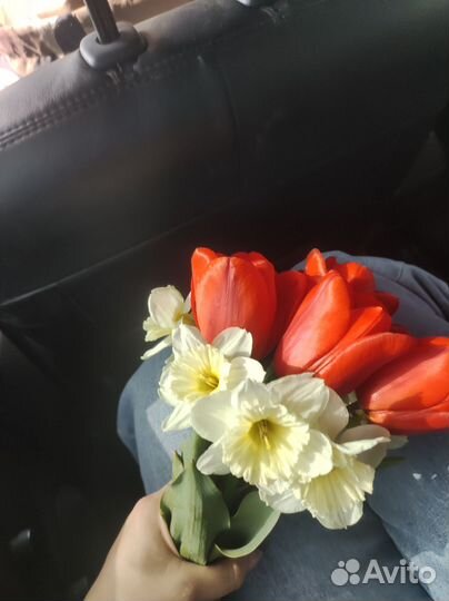 Тюльпаны срез в букет