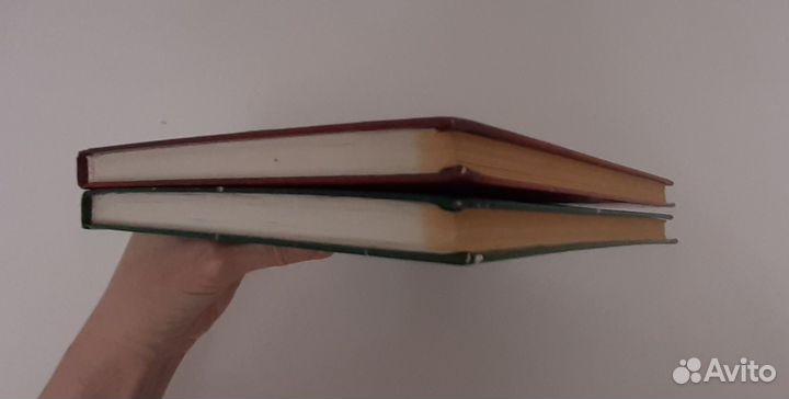 Родная литература 2 тома одним лотом