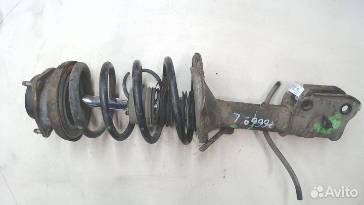 Амортизатор подвески Nissan Elgrand, 2000