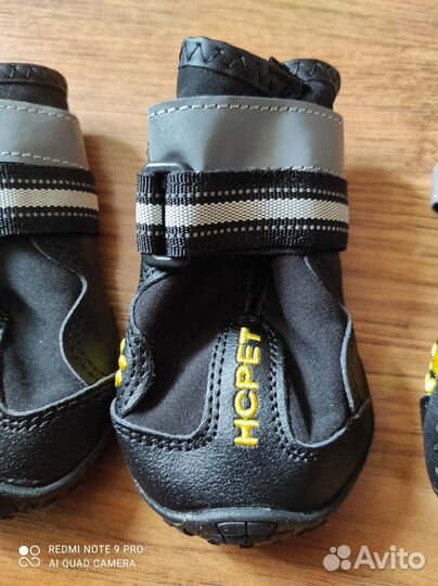 Обувь для собак