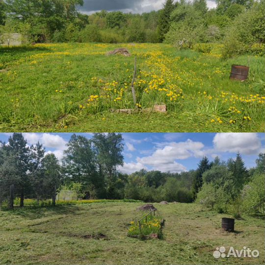 Покос травы. Вырубка мелколесья
