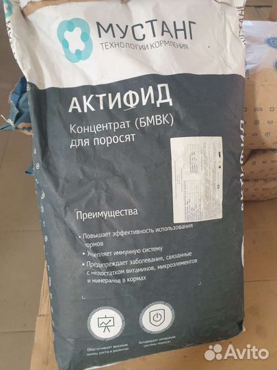 Зцм мустанг