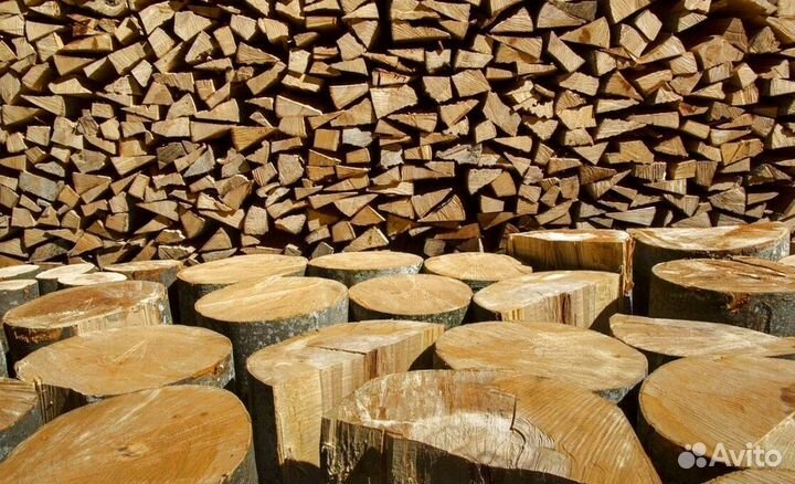 Дрова заготовителей дров