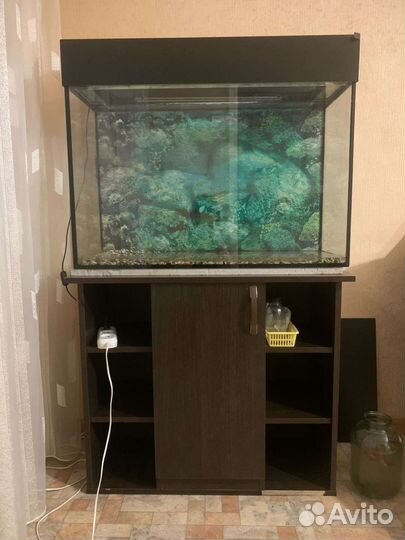 Аквариум с тумбой 150л