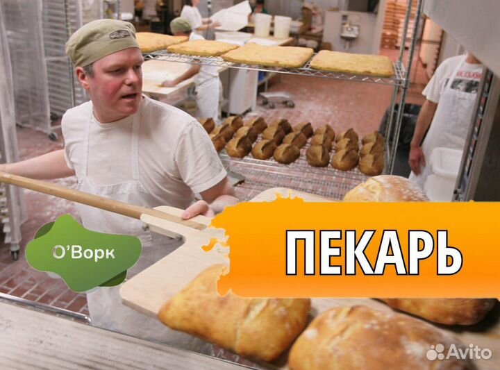 Пекарь-повар. pd719