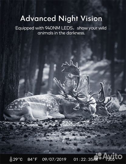 Фотоловушка, 1080P, Новая