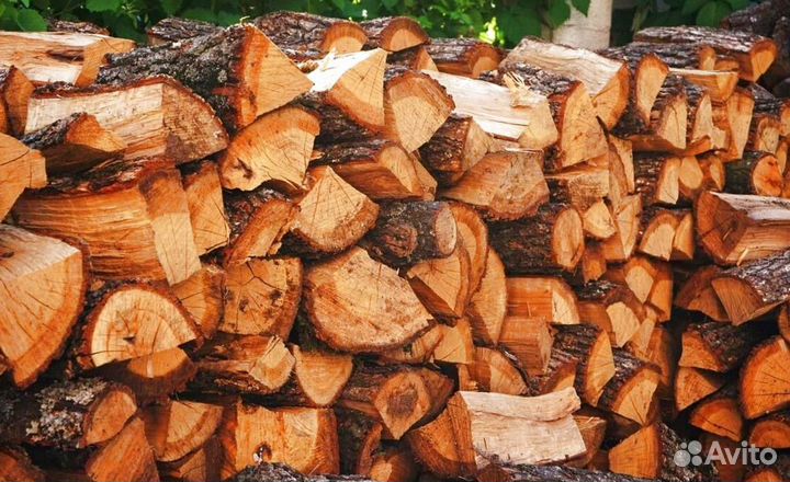 Дрова Береза