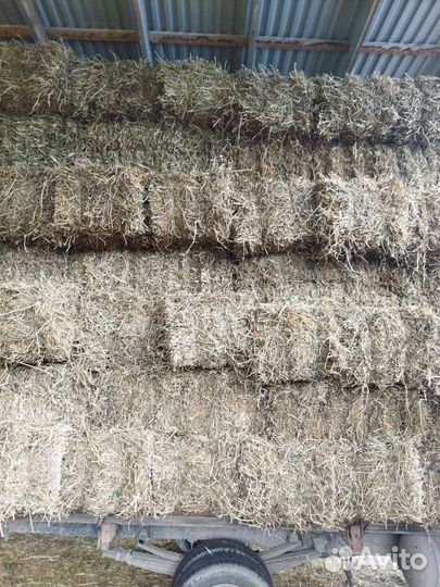 Гороховая солома