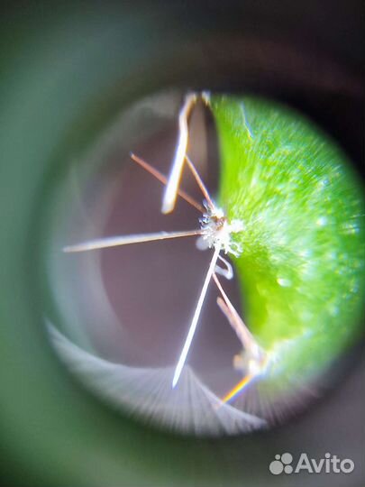 Микроскоп x60 для смартфона