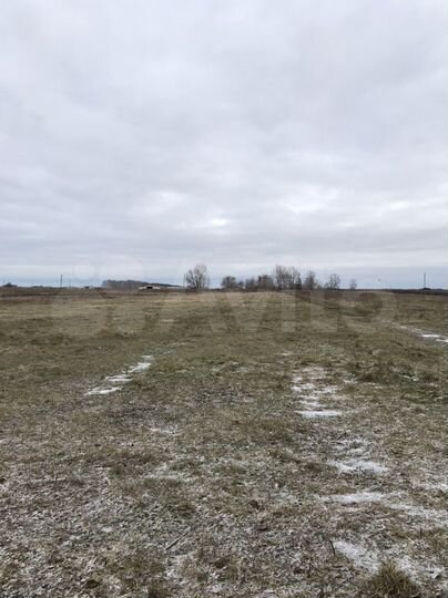 Дом 40 м² на участке 50 сот.