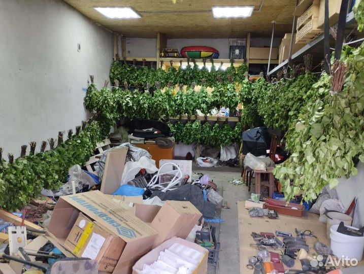 Веники для бани березовые свежие 2023 опт разница