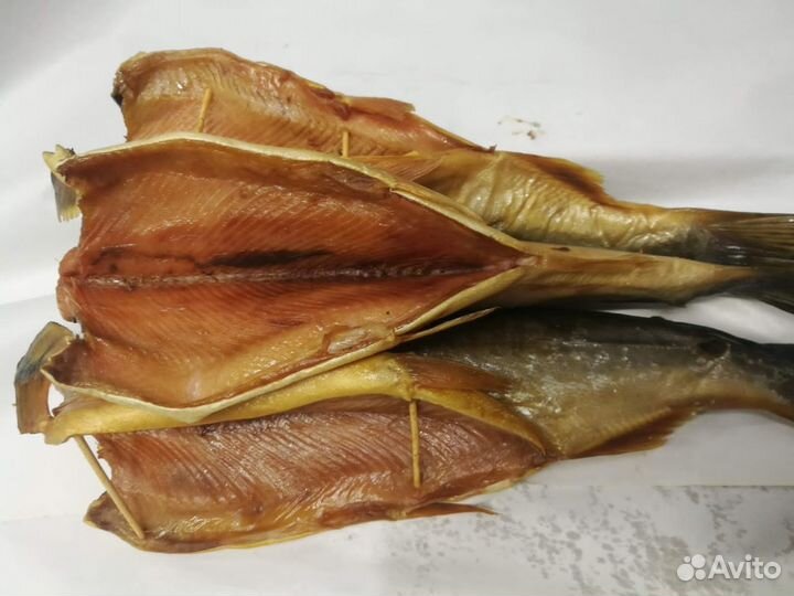 Рыба Горбуша х/к б/г цена за кг