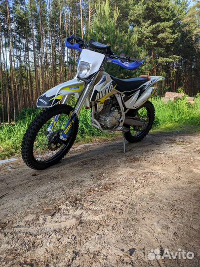 Avantis fx250 lux 2021