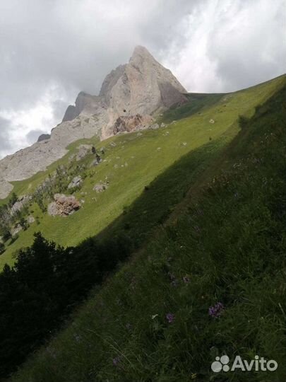 Заброска в горы Аренда лашадей, конные прогулки