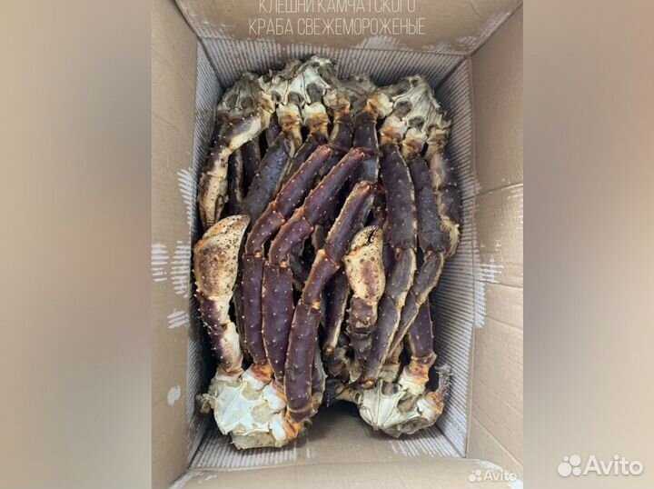 Краб камчатский крупный